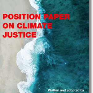 CJ position paper