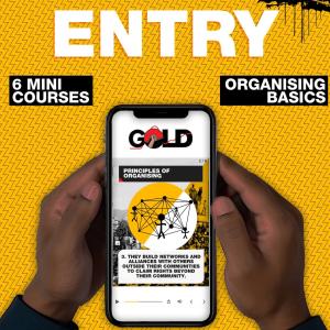 GOLD ENTRY